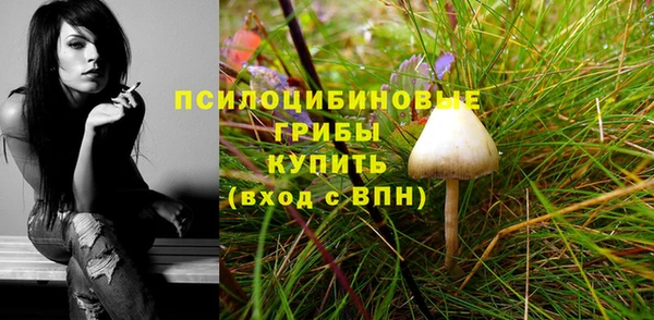 MDMA Нефтекумск