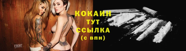 гидра Верхний Тагил