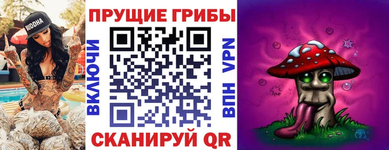 mega ТОР  Отрадное  Псилоцибиновые грибы Cubensis  наркошоп 