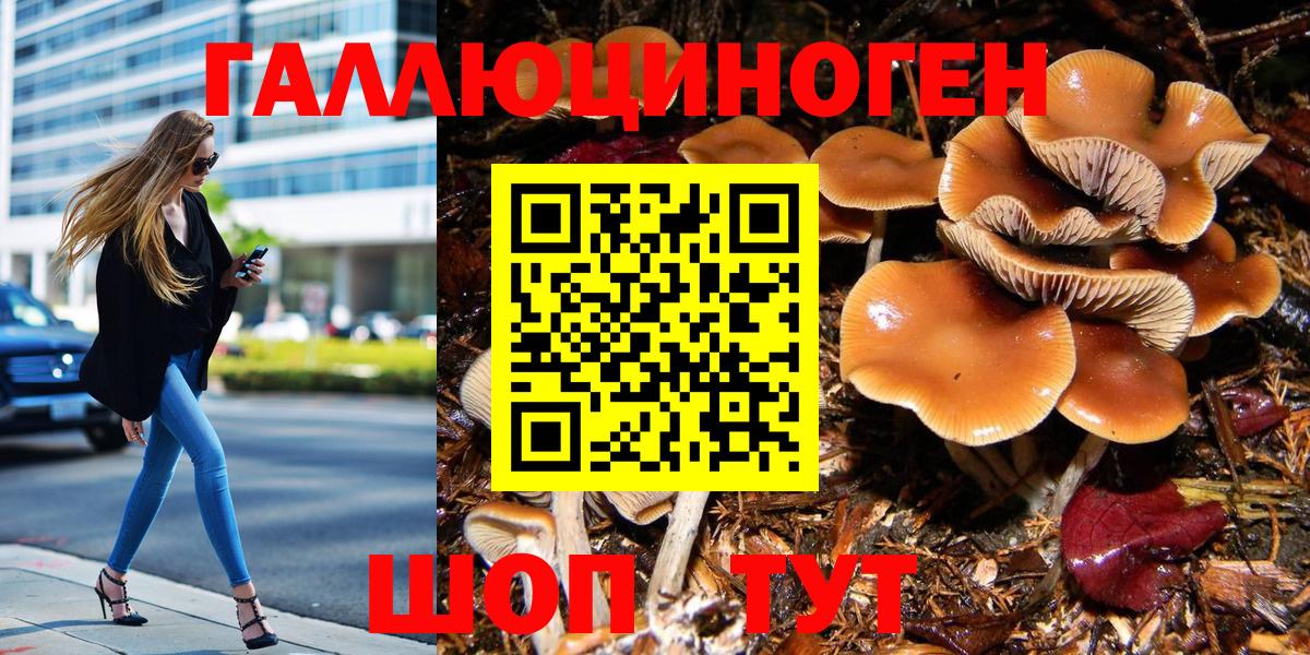 продажа наркотиков  Псилоцибиновые грибы MAGIC MUSHROOMS  Вход с VPN  Галлюциногенные грибы Magic Shrooms  Отрадное 