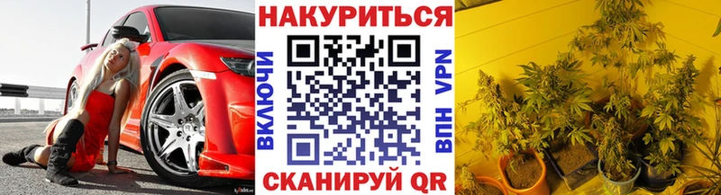 Бошки марихуана сатива Отрадное